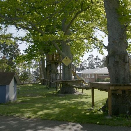 Te Aroha Holiday Park And Motels מראה חיצוני תמונה