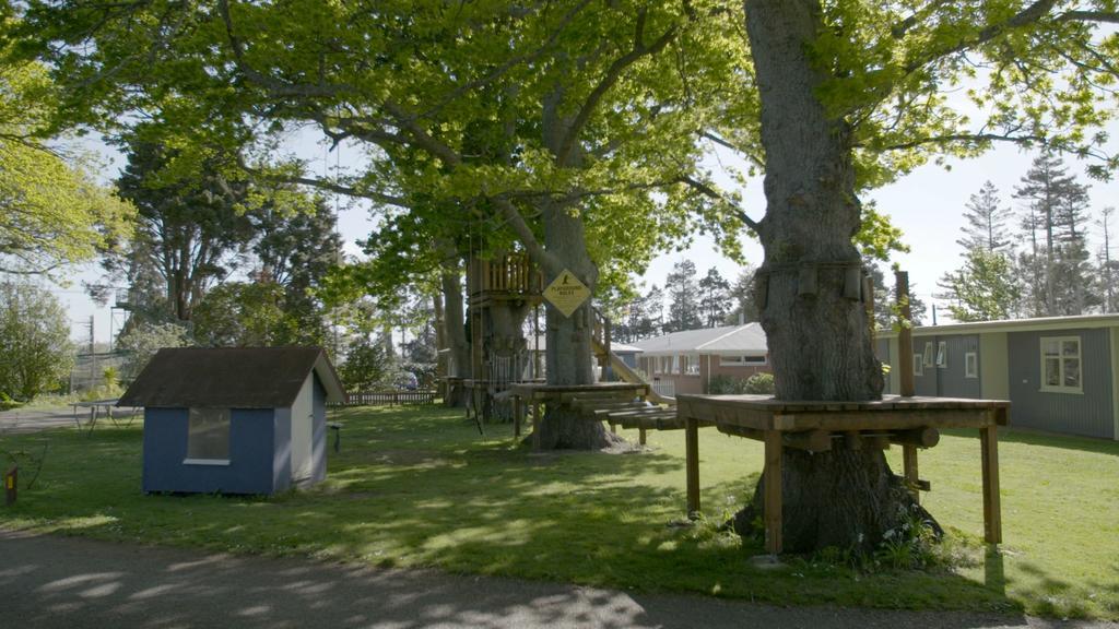 Te Aroha Holiday Park And Motels מראה חיצוני תמונה