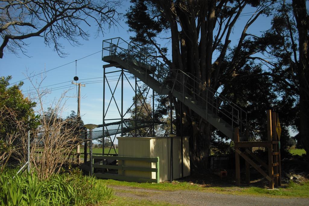 Te Aroha Holiday Park And Motels מראה חיצוני תמונה